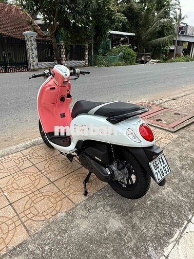 Scoopy Thailand
