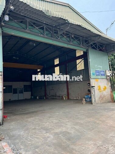 Cho thuê kho 140m2 mặt tiền đường Nguyễn Hữu Trí, Xã Tân Nhựt