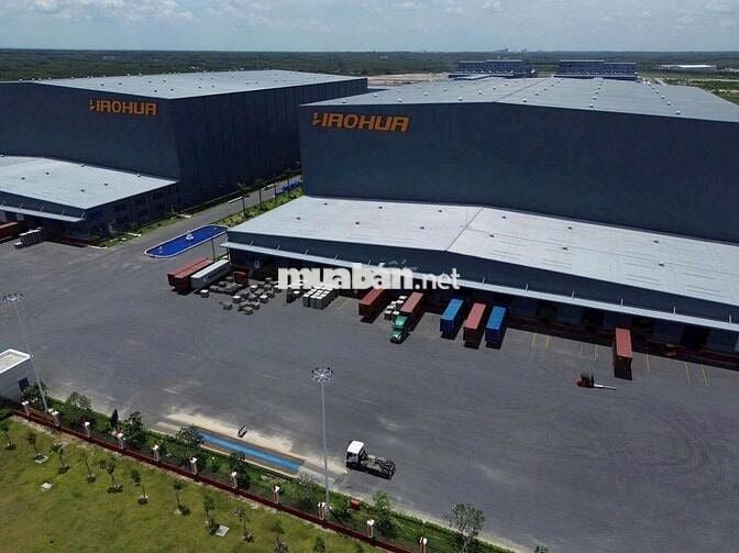 Bán gấp lô đất , sổ sẵn có thổ cư, gần đường QL13- Chơn Thành.