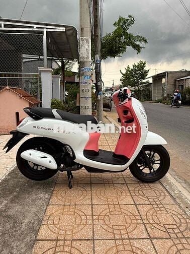 Scoopy Thailand
