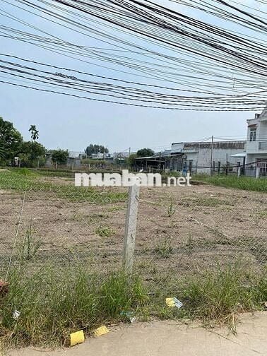 EM CẦN VÀI NỀN ĐẤT DỰ ÁN NGAY CẦN GIUỘC CHÍNH CHỦ KHÔNG TIẾP MÔ GIỚI