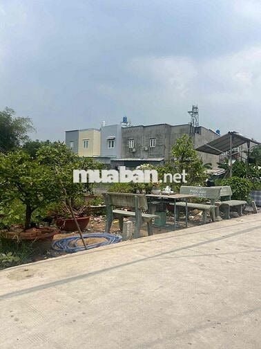 chính chủ bán đất 1/ hà duy phiên bình mỹ