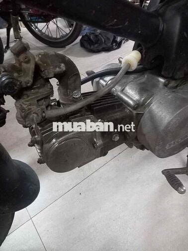 Xe cub chạy tốt