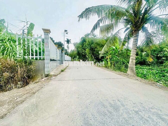 300 Triệu/ 1000m2 CÁCH ĐẠI HỌC CUỬ LONG, KCN HÒA PHÚ 5KM . VĨNH LONG