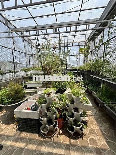 Vị trí gần bến xe - khu cao ráo yên tĩnh k ngập lụt