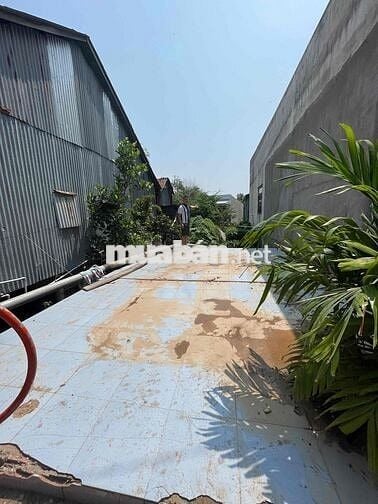 🏡 BÁN ĐẤT THỔ CƯ MẶT TIỀN ĐƯỜNG AN THẠNH – TP HỒNG NGỰ, ĐỒNG THÁP 🏡  📍