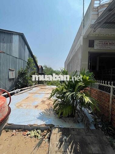 🏡 BÁN ĐẤT THỔ CƯ MẶT TIỀN ĐƯỜNG AN THẠNH – TP HỒNG NGỰ, ĐỒNG THÁP 🏡  📍