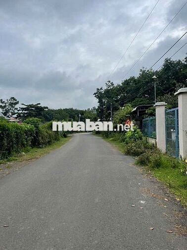 🚩 BÁN ĐẤT THỔ CƯ 250m² – GẦN CỤM CÔNG NGHIỆP TRỊ AN,  ĐỒNG NAI 🚩