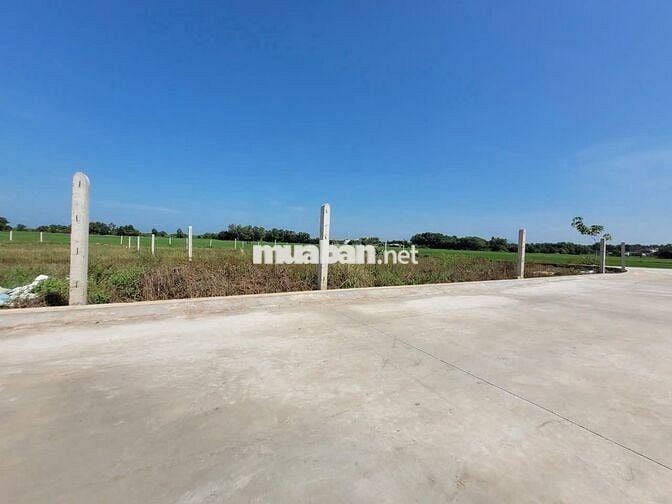 ĐƯỜNG BÊ TÔNG 5X40 HIỆP THẠNH 350 TRIỆU