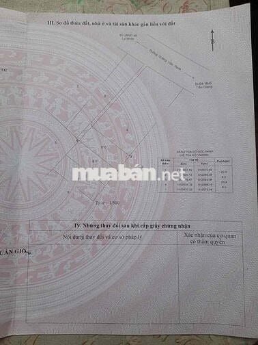 Bán Lô Đất Thổ Cư xã lý nhơn huyện cần giờ tphcm giá rẻ