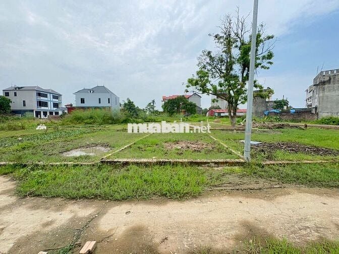 Bán đất tổ 9, Quang Minh, Mê Linh, HN. Lô đất nhỏ nhắn, tài chính