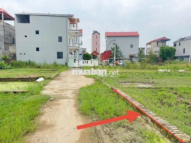 Bán đất tổ 9, Quang Minh, Mê Linh, HN. Lô đất nhỏ nhắn, tài chính