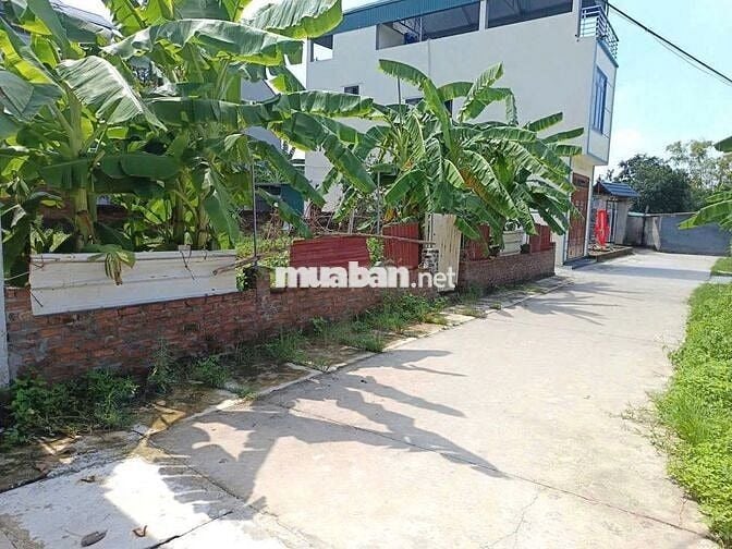 Bán đất Phù Trì, Kim Hoa, Mê Linh. Đường rộng, oto ra vào. Gần đường