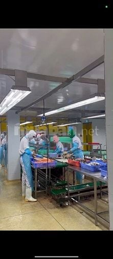 tuyển lao động thời vụ khu vực Sóng Thần 1 (Dĩ An, Bình Dương)