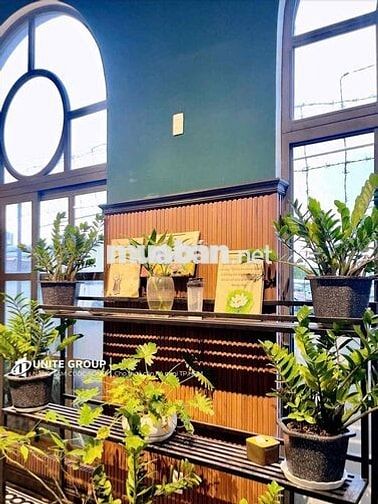 Căn hộ studio ban công siêu thoáng - Sát bên đại học RMIT, TDT