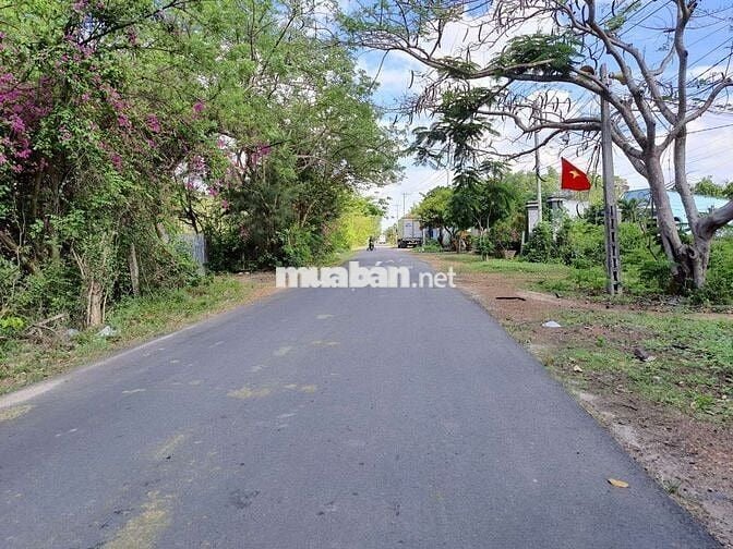 Nhà cho thuê nguyên căn, phù hợp với hộ gia đình