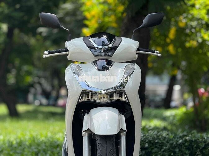 Shvn smatrey bstp 9 chủ zin ken