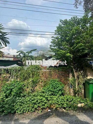 Bán gấp lô đất Bình Mỹ bắc tân uyên