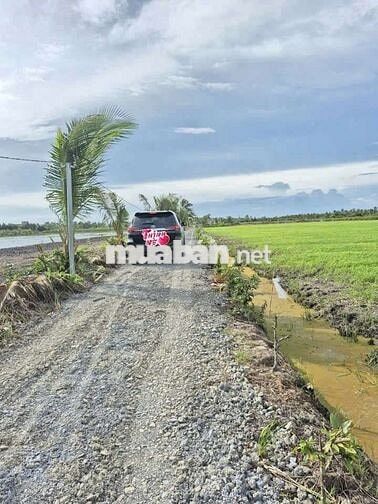 Quá đẹp, 785m2 đất thổ cư view kênh Mỹ Thạnh, chỉ 1 tỷ 50 tr