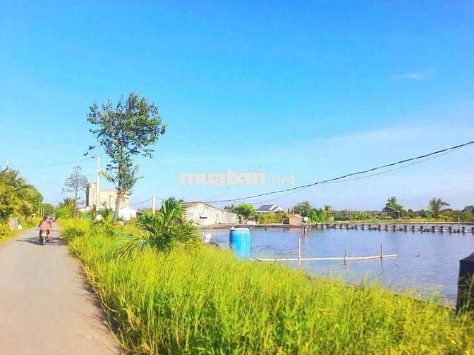 Quá đẹp, 785m2 đất thổ cư view kênh Mỹ Thạnh, chỉ 1 tỷ 50 tr