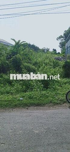 Bán 173m thổ cư gần KCN Thanh An Hớn Quảng Bình Phước 230triệu
