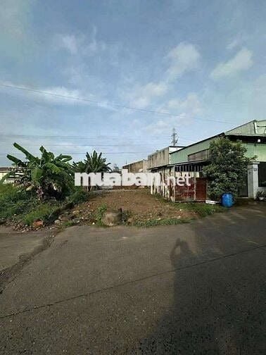 🔥Bán đất trung tâm An Phú gần KCN Chí Hùng, mặt tiền đường 8m, giá rẻ