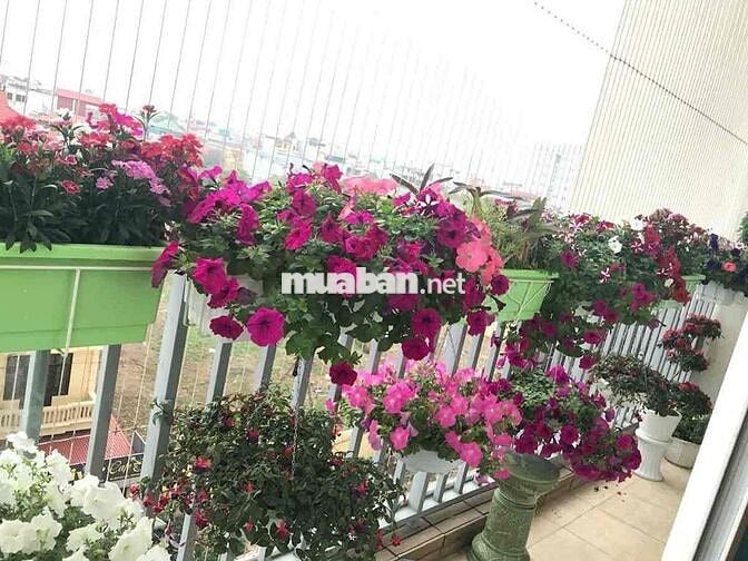 Bán căn hộ N03 Chung cư Berriver Bồ Đề,DT 88m,2 PN,hơn 7 tỷ.