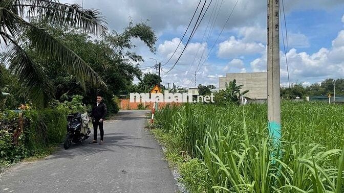 Chủ ngộp bán gấp lô đất 105m2 đường Basa xã Phước Hiệp Củ Chi 1tỷ390