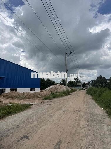 GIỚI THIỆU:  CHO THUÊ XƯỞNG NAM TÂN UYÊN 5287m