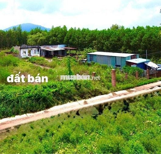 Gần núi Chứa Chan- Xuân Lộc- Đồng Nai
