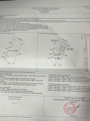 Gần núi Chứa Chan- Xuân Lộc- Đồng Nai