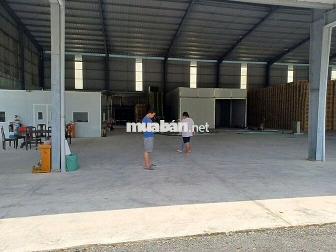 Cho thuê showroom 1.000m2 MT Trần Văn Giàu, Bình Chánh, giá : 80tr/ TH