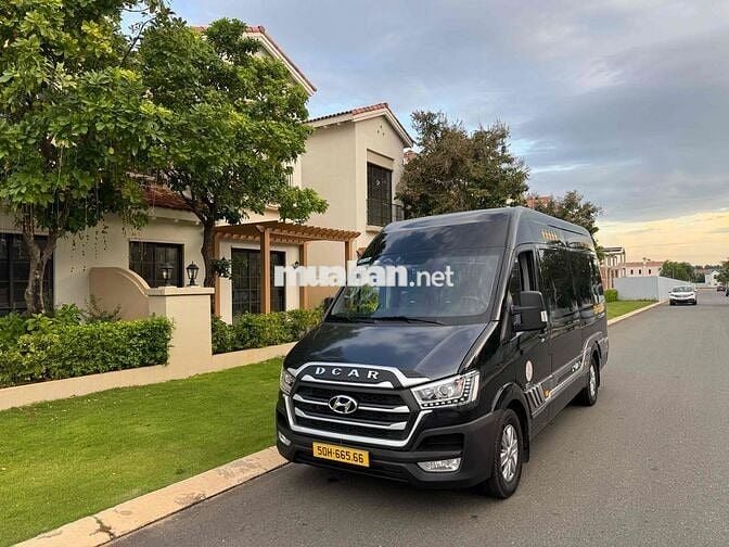 Cty Bán Solati Dcar Thượng Đỉnh 2024