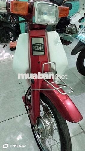 Cub 50cc Việt Thái