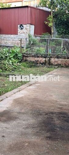 🚀🚀🚀 SIÊU PHẨM RẺ ĐẸP NHẤT THƯỜNG TÍN KO MỘT LỖI NHỎ 👉 TỰ NHIÊN -