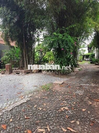 *** CĂN NHÀ 150M² NGAY KCN ĐẠI ĐĂNG, PHÚ MỸ - GIÁ CHỈ 900 TRIỆU!
