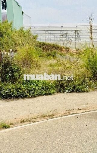 Bán đất KQH BV Nhi TP Đà Lạt trên đồi cao view thoáng