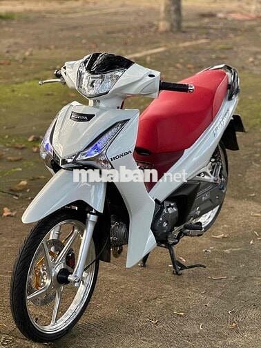 Fu led kiểng 2021 có góp 0đ