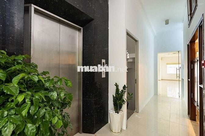 🏠  Nhà Cho Thuê HXH Trường Chinh_P14_7x20m_Hầm 4 Lầu Suốt_Thang Máy.