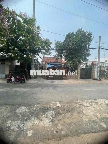 MT ĐƯỜNG TAM ĐÔNG, TTT, HÓC MÔN, ngang 8M KẸP HẺM VỪA Ở VỪA KD OK Ạ