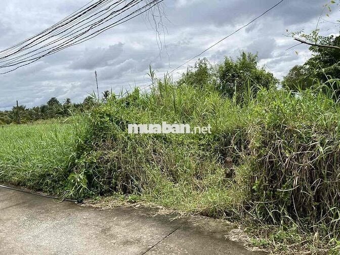 📌 BÁN ĐẤT THỔ CƯ 105m² – GẦN ĐƯỜNG NGUYỄN THỊ LÊ, TÂN AN, LONG AN Giá