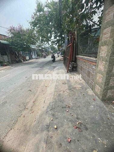 MT ĐƯỜNG TAM ĐÔNG, TTT, HÓC MÔN, ngang 8M KẸP HẺM VỪA Ở VỪA KD OK Ạ