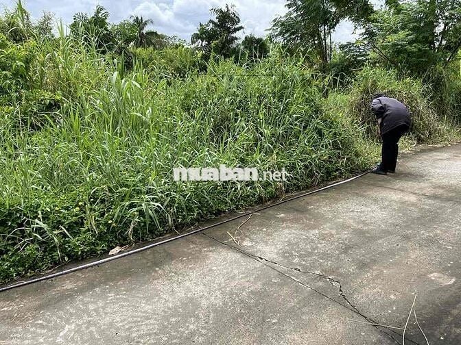 📌 BÁN ĐẤT THỔ CƯ 105m² – GẦN ĐƯỜNG NGUYỄN THỊ LÊ, TÂN AN, LONG AN Giá