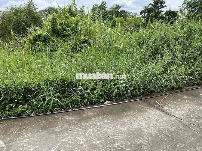 📌 BÁN ĐẤT THỔ CƯ 105m² – GẦN ĐƯỜNG NGUYỄN THỊ LÊ, TÂN AN, LONG AN Giá