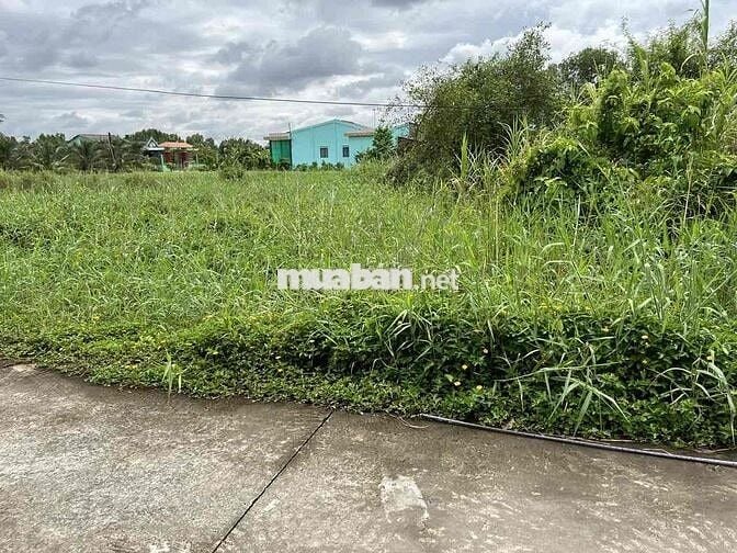 📌 BÁN ĐẤT THỔ CƯ 105m² – GẦN ĐƯỜNG NGUYỄN THỊ LÊ, TÂN AN, LONG AN Giá