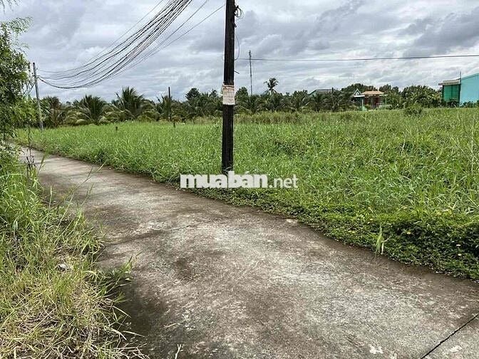 📌 BÁN ĐẤT THỔ CƯ 105m² – GẦN ĐƯỜNG NGUYỄN THỊ LÊ, TÂN AN, LONG AN Giá