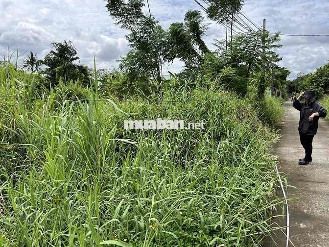 📌 BÁN ĐẤT THỔ CƯ 105m² – GẦN ĐƯỜNG NGUYỄN THỊ LÊ, TÂN AN, LONG AN Giá