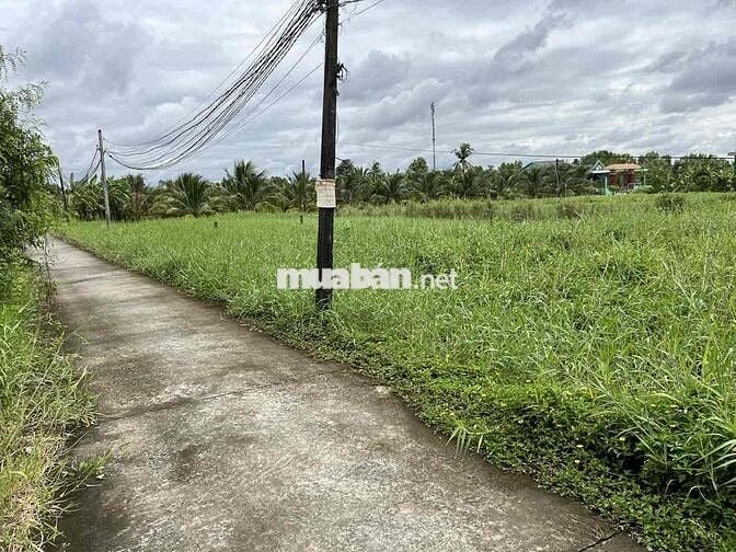 📌 BÁN ĐẤT THỔ CƯ 105m² – GẦN ĐƯỜNG NGUYỄN THỊ LÊ, TÂN AN, LONG AN Giá