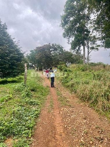 MẢNH ĐẤT HƯỚNG NHÌN RA HỒ TRỊ AN, CÓ SỔ RIÊNG, XE HƠI VÀO TẬN NƠI 