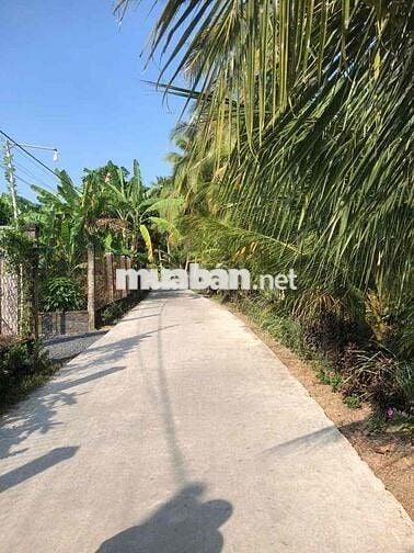 Đất Xã Long Định nay xã Long Hưng Đồng Tháp